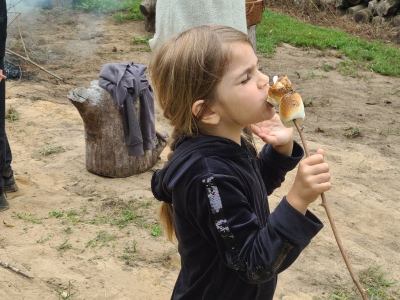 Farm Stay Michigan Smores
