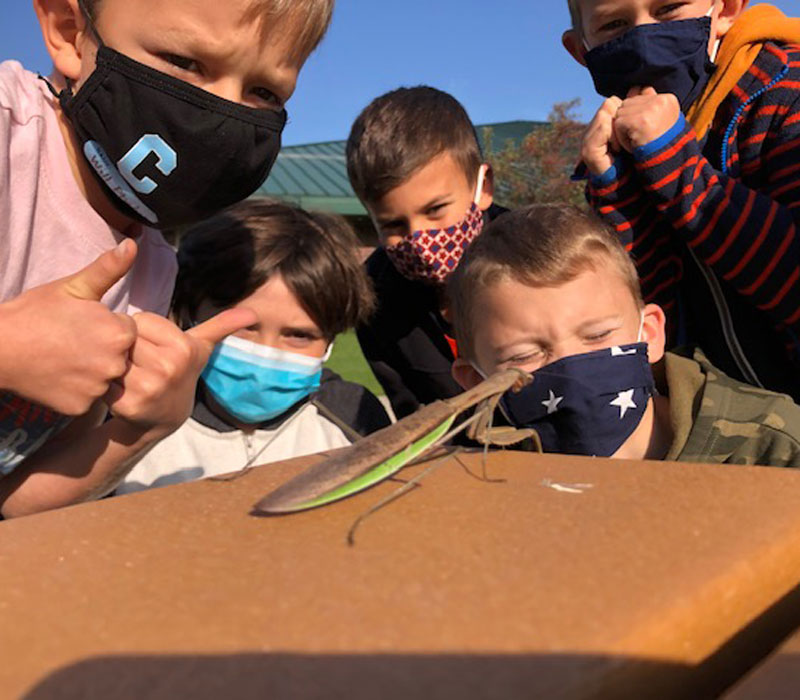 students studying insect at Rockford Christian School outdoor