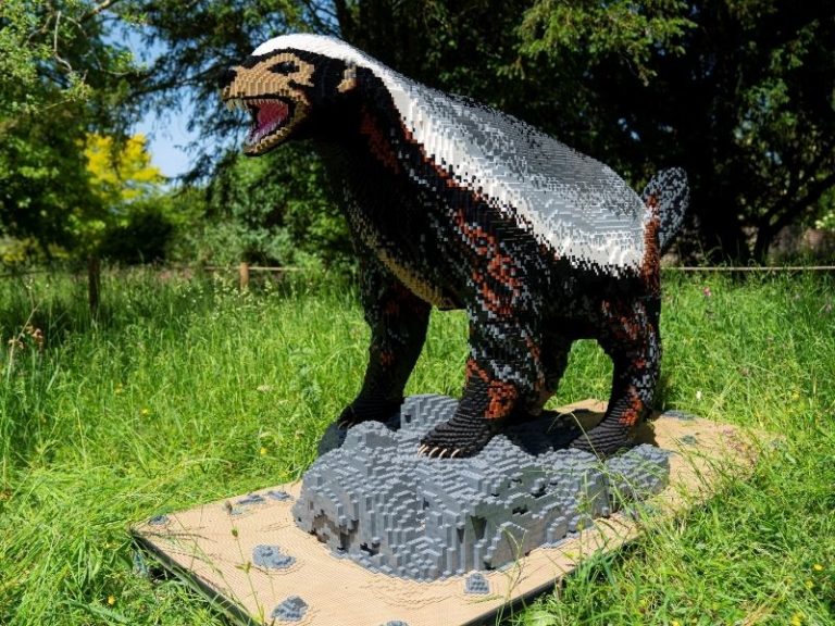 Supersized TOY Brick Animal Sculptures are Coming to John Ball Zoo