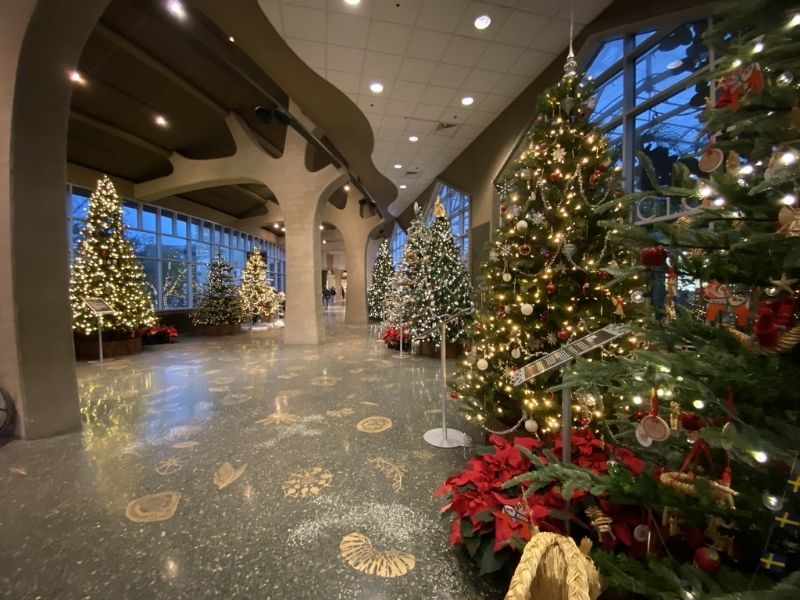 Frederik Meijer Gardens Christmas Trees