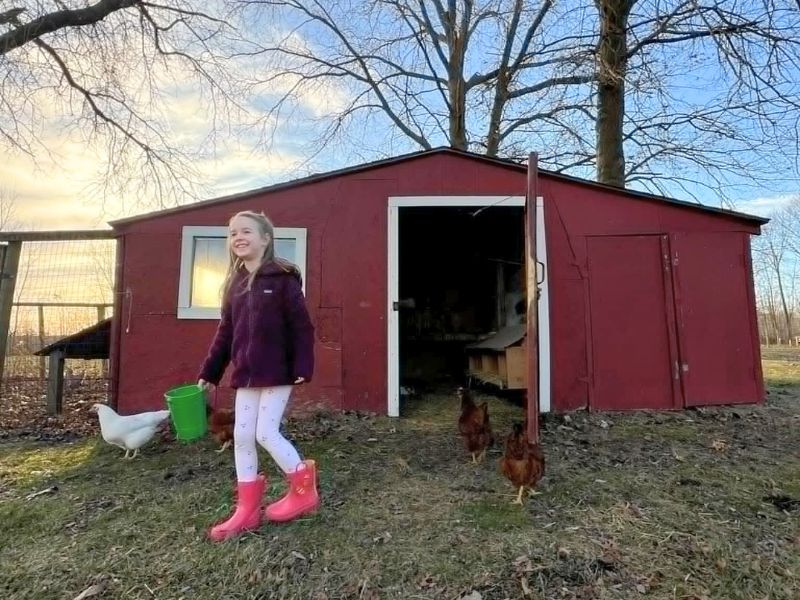 Raising Chickens Girl With Chickens Outside Coop Malski