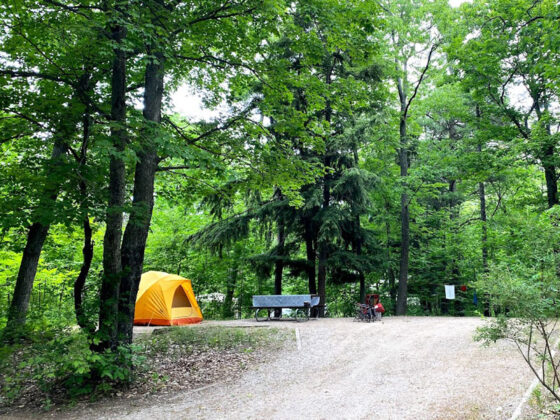 DH-Day-Camp-Glen-Arbor-tent-VanderW