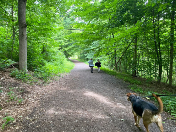 Crahen Valley Park: Splash in the Creek & Try Not to Get Lost When ...