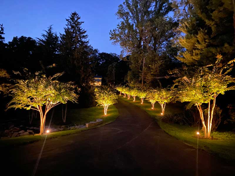 Outdoor Lighting Perspectives driveway