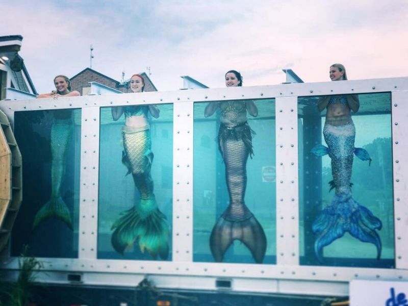 live mermaids arvesta sports
