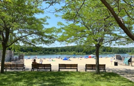 Millennium Park Grand Rapids: Complete Guide to Beach, Trails, Playgrounds, Splash Pad, Boat Rentals, Fishing + More