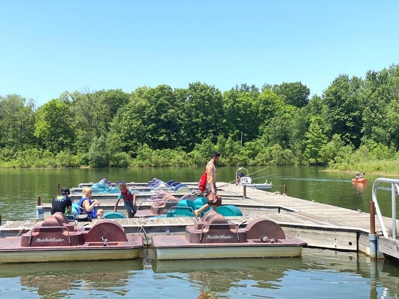 millennium park paddle boats