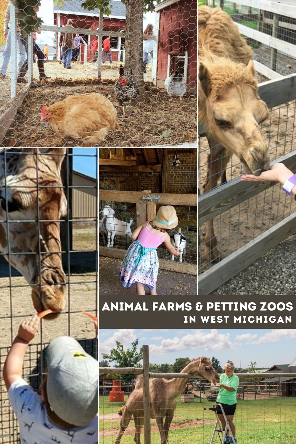 Animal Farms & Petting Zoos: 25+ Farms for Kids to Visit in West Michigan -  