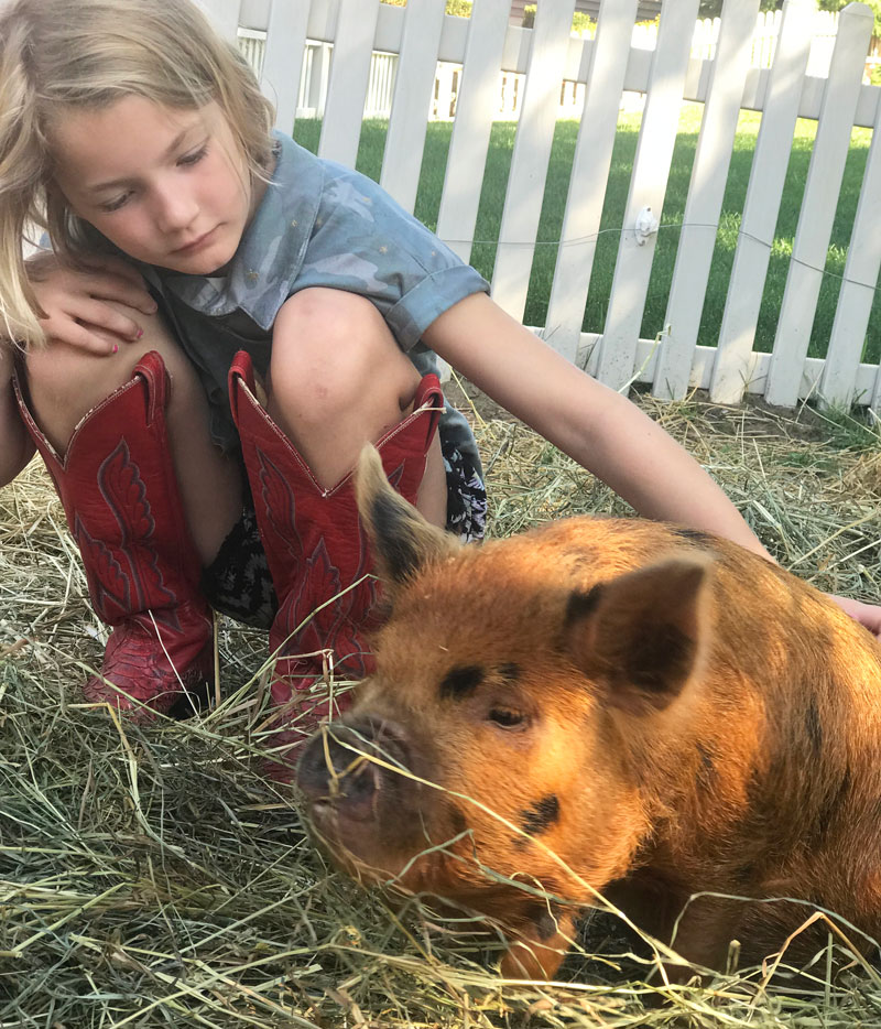 Fellinlove Farm girl and pig Hunt
