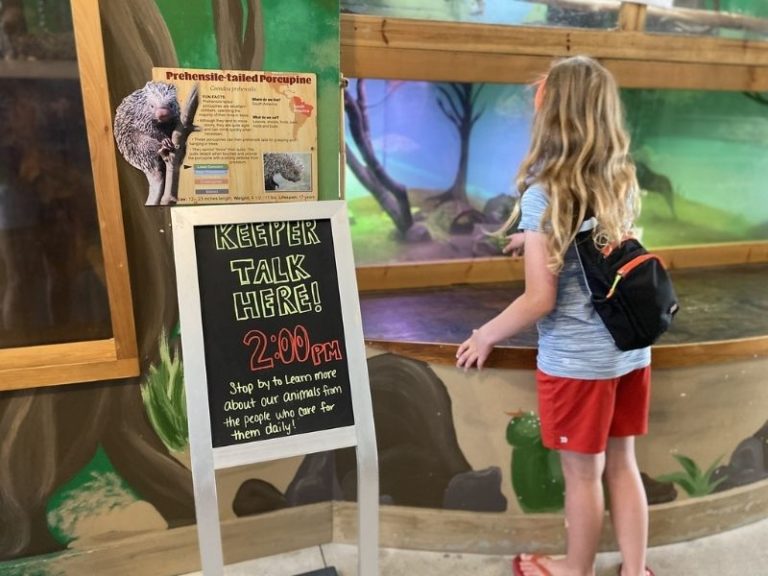 Boulder Ridge Zoo Wild Animal Park & Safari Walkthrough