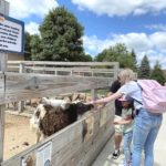 30 Incredible Animal Farms & Petting Zoos for Kids in West Michigan
