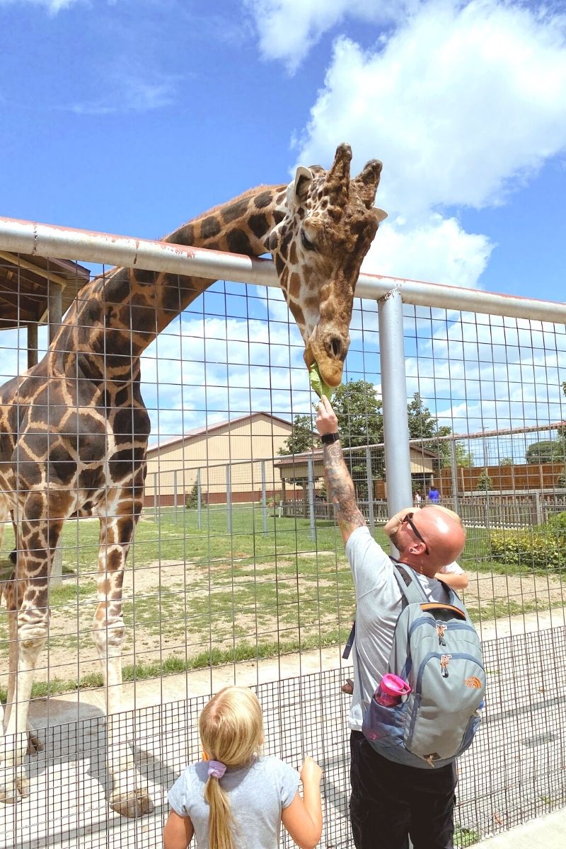 Boulder Ridge Zoo: Wild Animal Park & Safari Walkthrough 