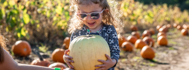 Girl holding a pumpkin having fall fun at Lewis Farms.