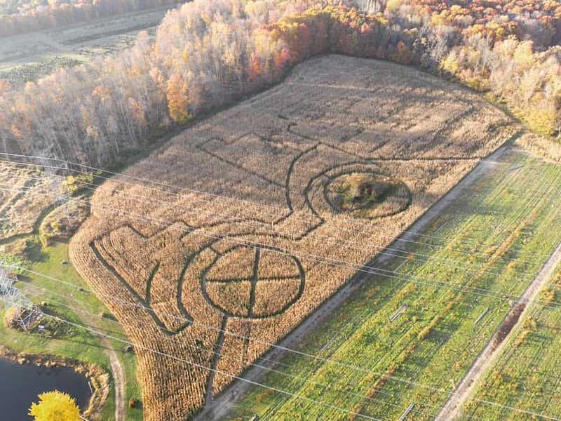 Post Family Farm corn maze