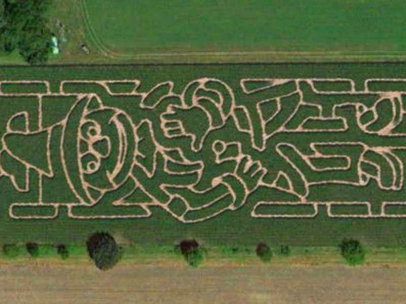 Shawhaven Farm corn maze