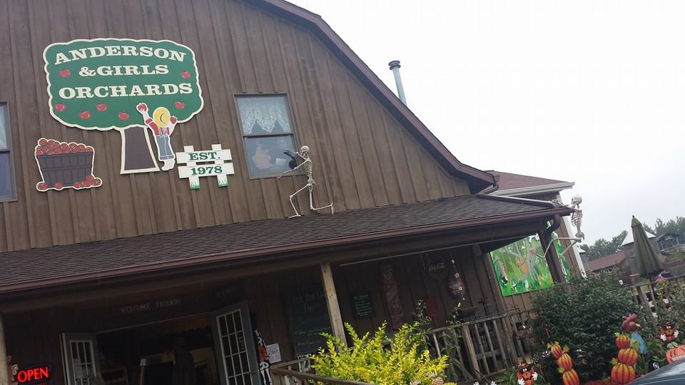 anderson and girls farm market