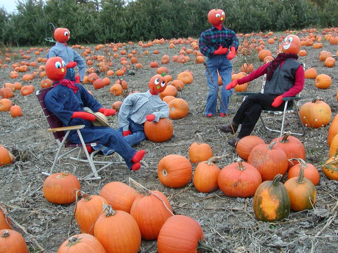 pumpkin patch grand haven