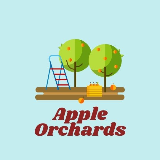 apple orchards button 1