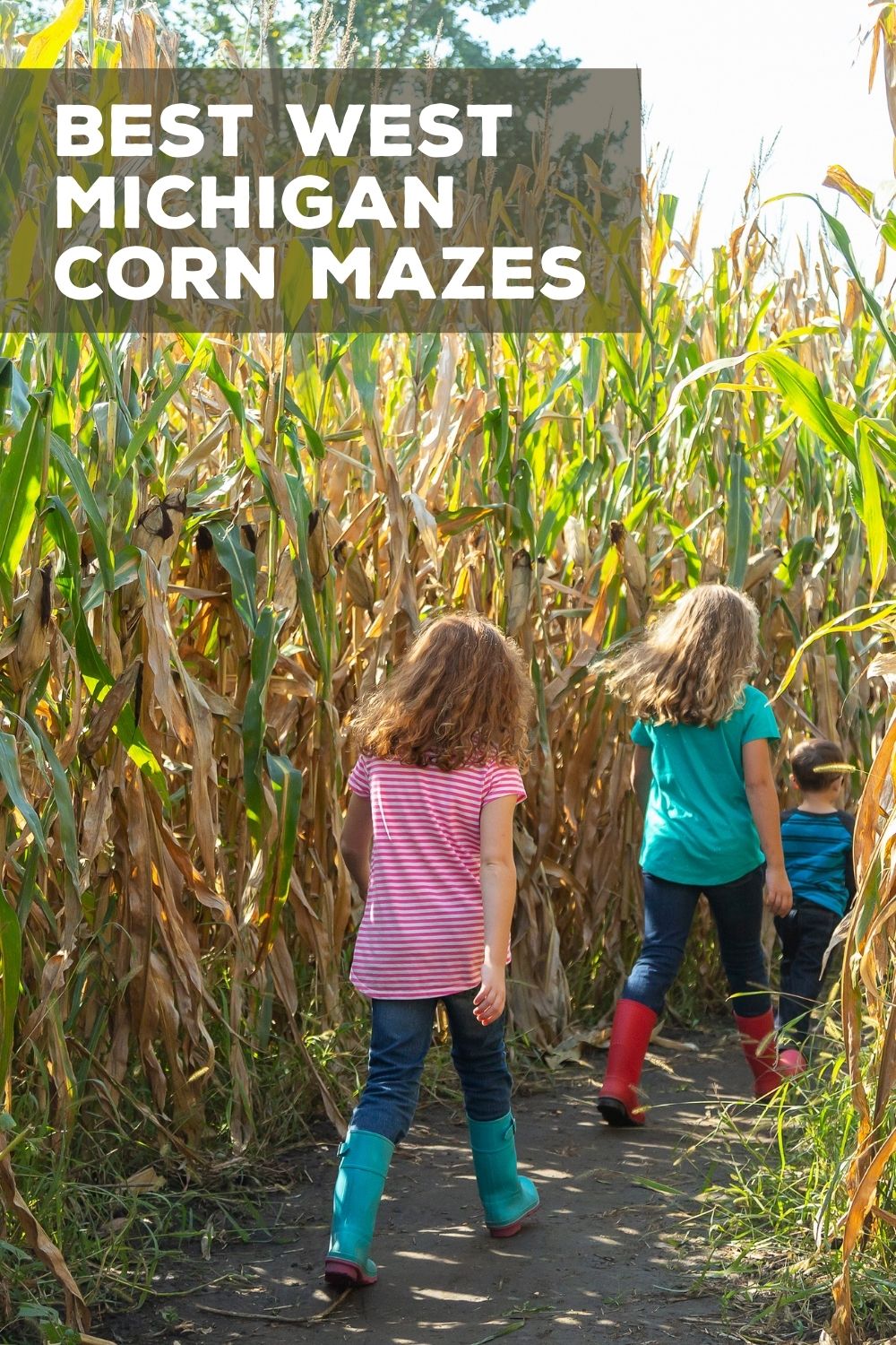 best west michigan corn mazes