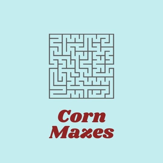 corn mazes button