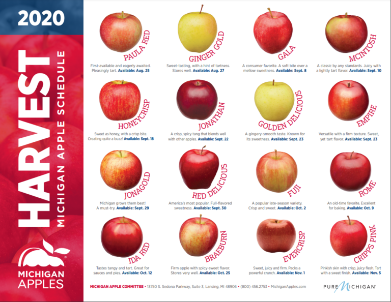 20+ Apple Orchards Perfect for Apple Picking in West MI