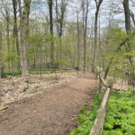 Blandford Nature Center Hiking Includes a 1-Mile Paved Loop & Well-Marked Trails