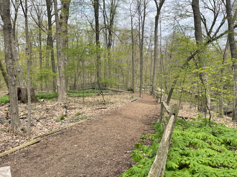 Blandford Nature Center Hiking Includes a 1Mile Paved Loop & Well