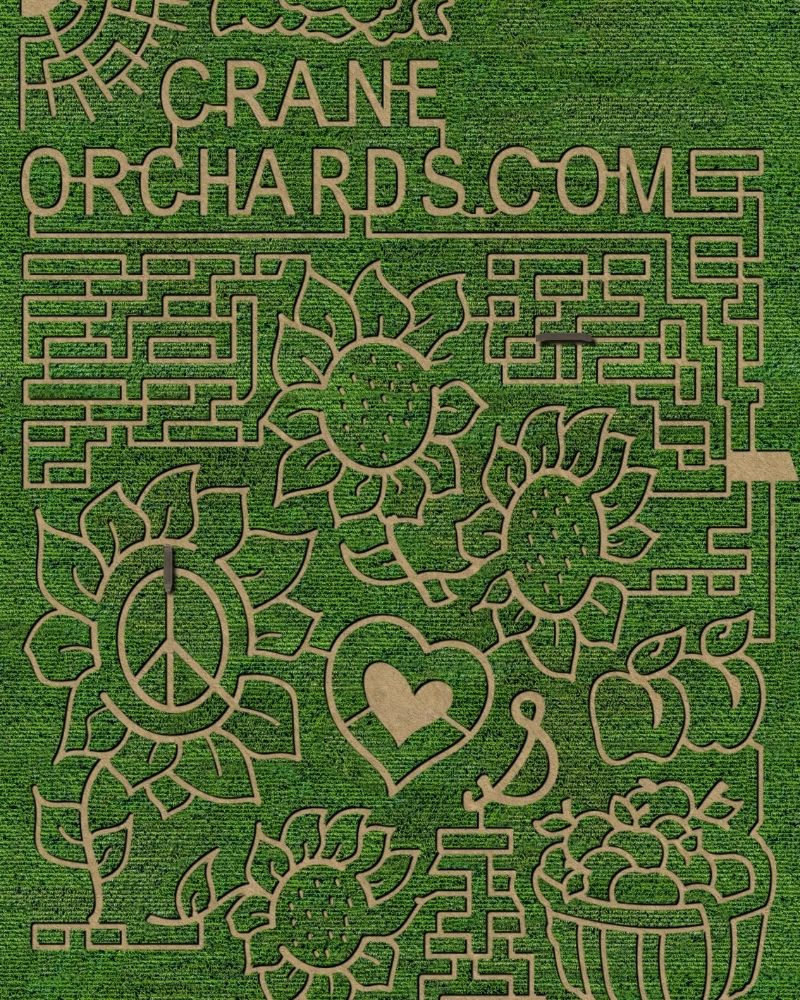 Crane Orchards Corn Maze 2021