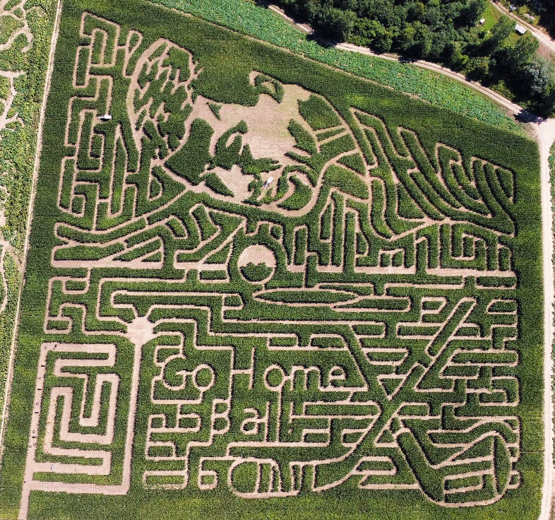 Deep Roots 2022 corn maze Happy Gilmore