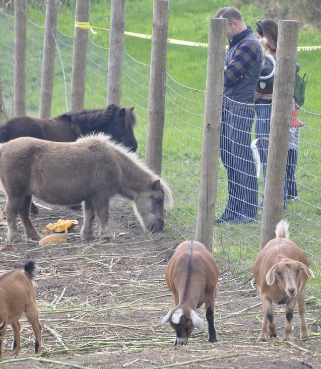 Ed Dunneback and girls farm animals