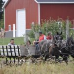 Fruit Ridge Hayrides: Draft Horses, 10-Acre Corn Maze, Low-Hanging Apples, Pumpkin Patch & More