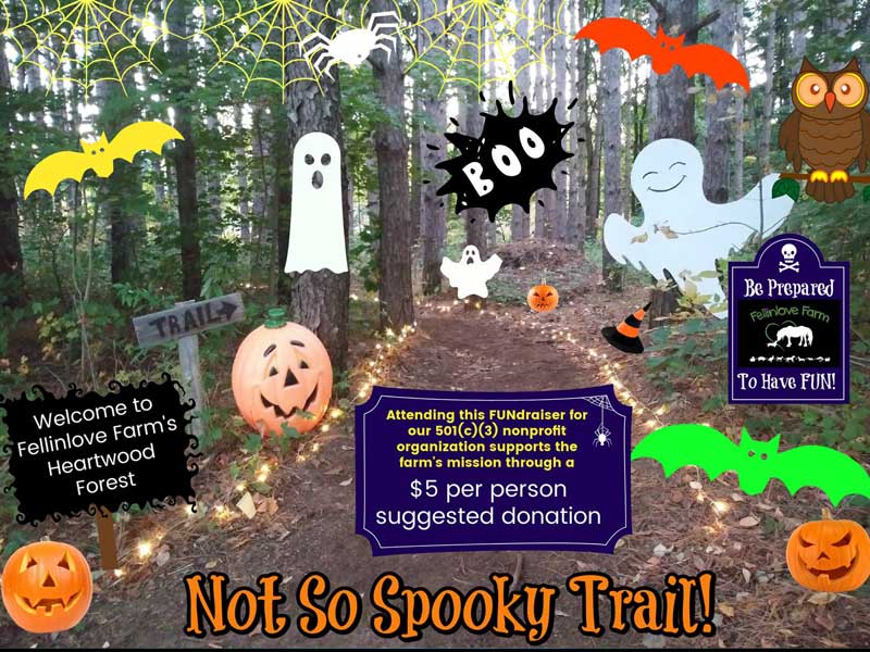 Not so Spooky trail