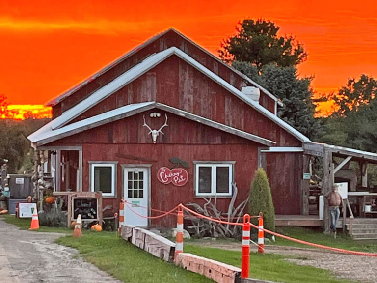 Rasch Orchards Haunted Sunflower Maze, Apple Picking & Epic 100Year