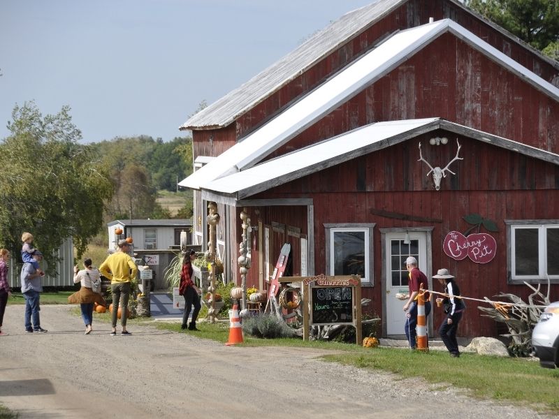 Rasch orchards