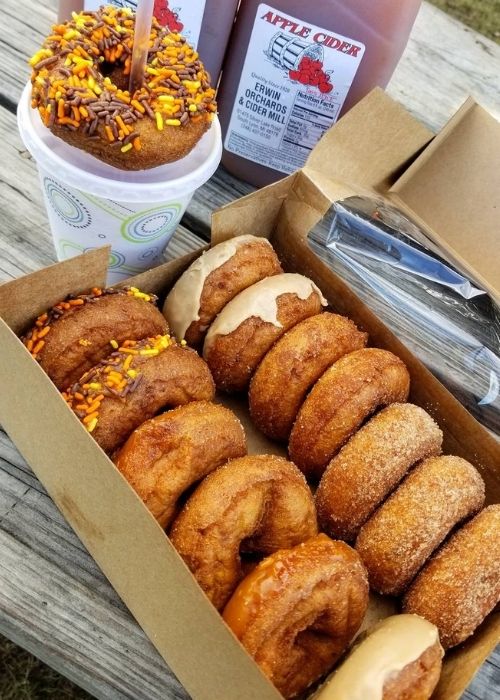 erwin orchards cider and donuts