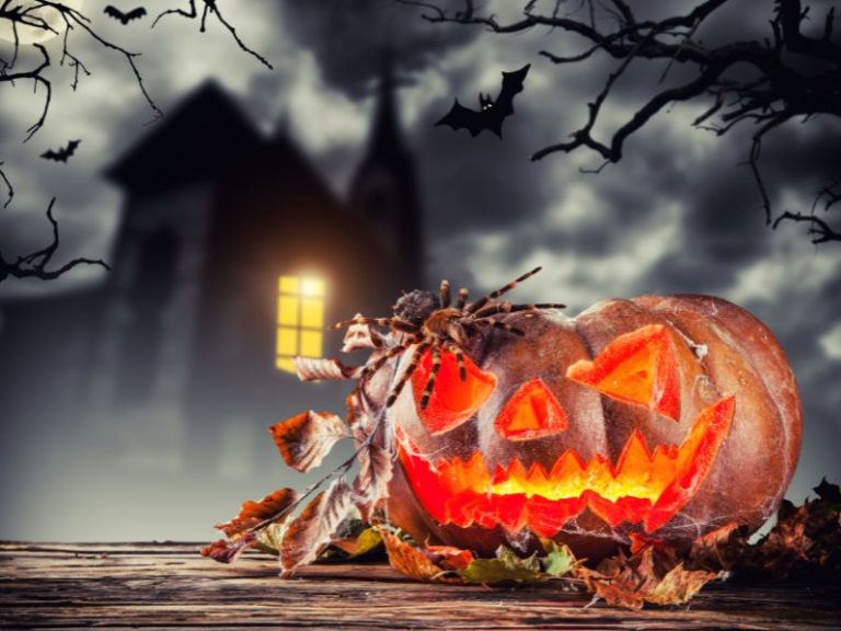2023 Best Haunted Houses in Michigan & Other Scary Things to Do, Now