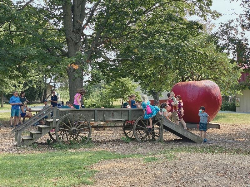 robinette's play area