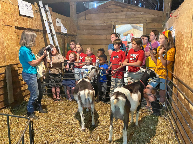 Critter Barn visitors learning about baby goat