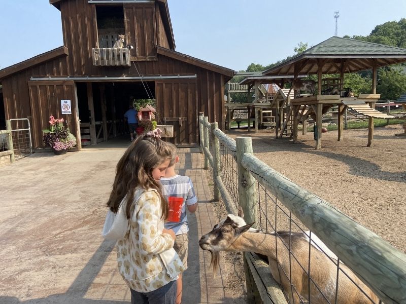 Lewis Farms Adventure Petting Zoo