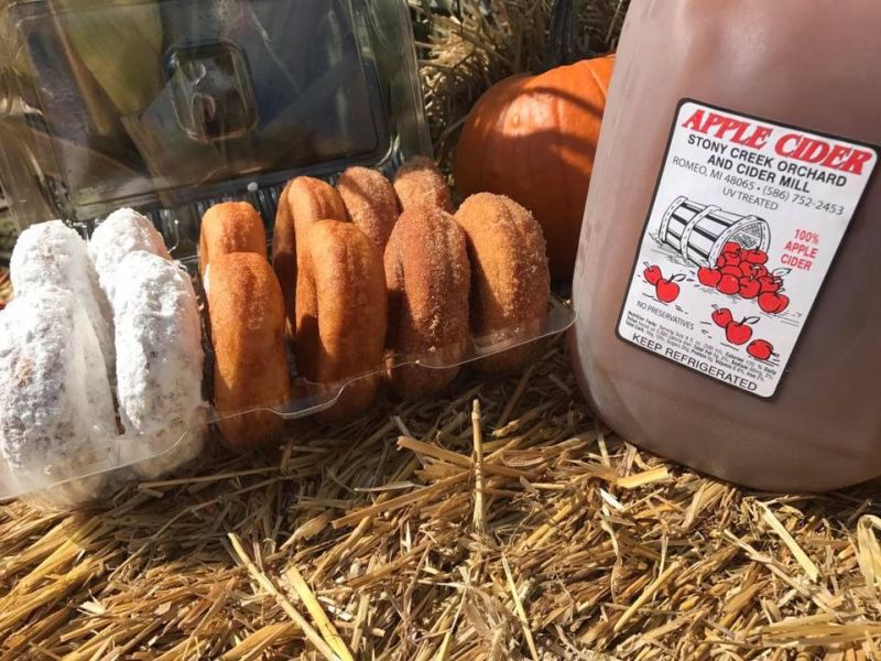 Stony Creek Orchard and Cider Mill cider and donuts