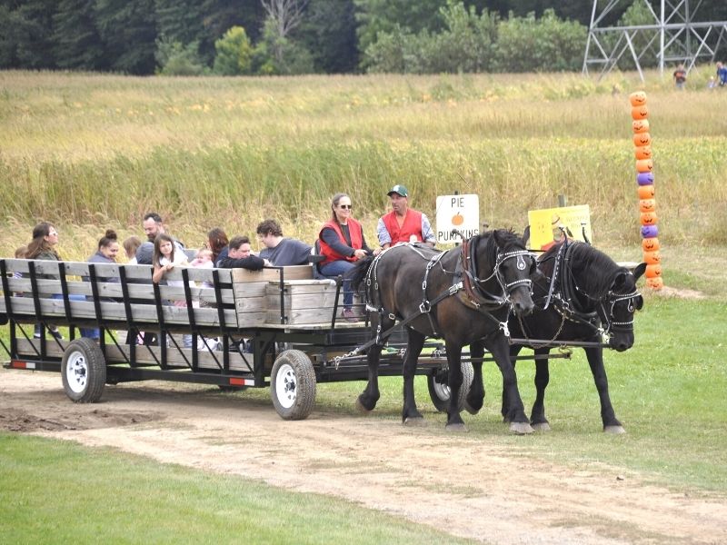 Horse Hay Ride