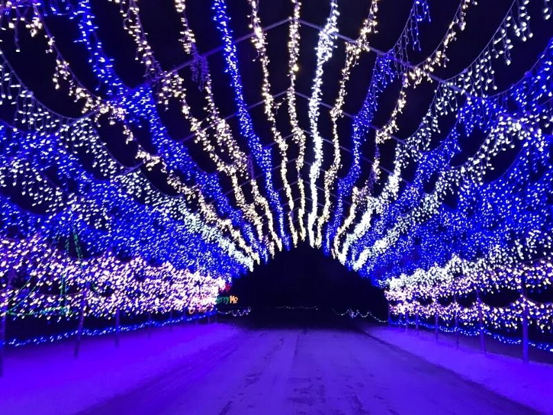 Drive through Christmas Lights in Michigan