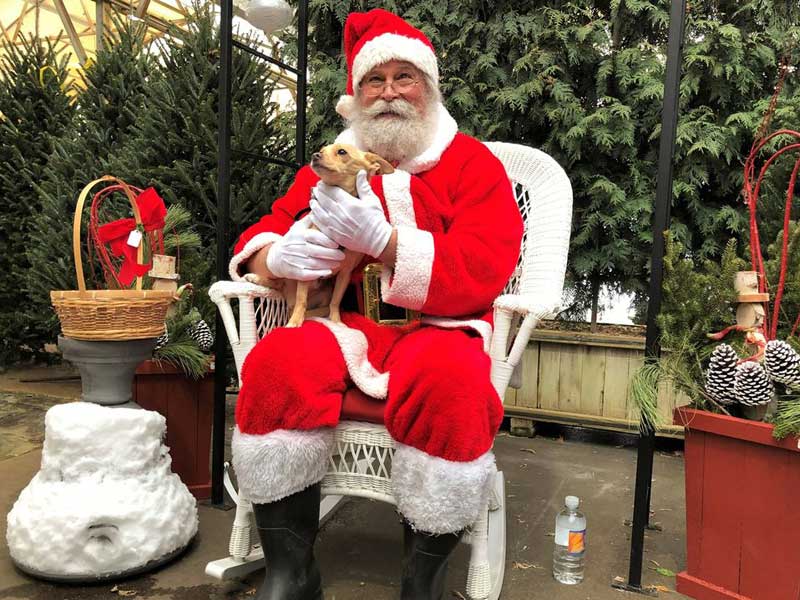 Christmas Events include visiting Santa