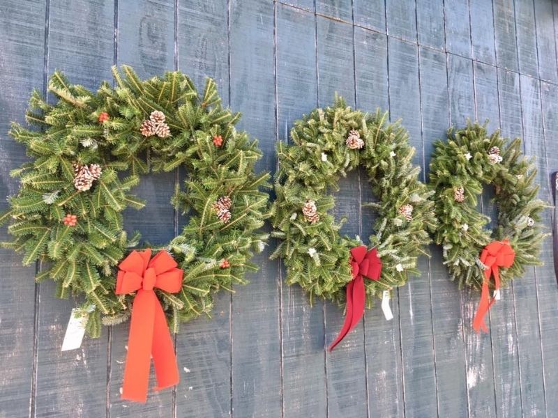 Schneiders Evergreens Real Christmas Trees and Wreaths