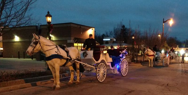 classic carriage grand rapids sleigh rides