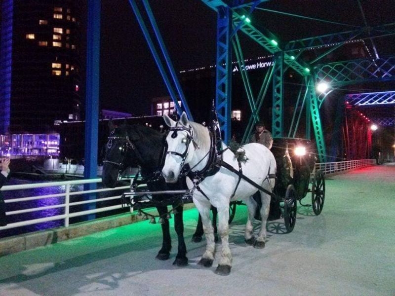 common gentry carriage company grand rapids sleigh rides