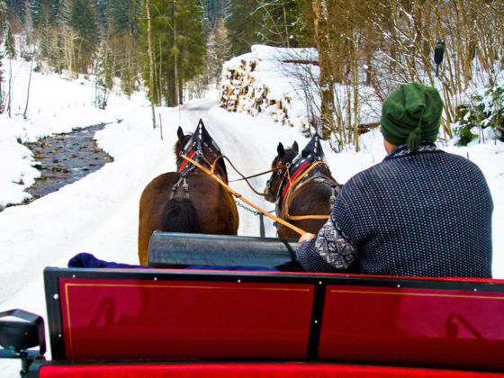 horse drawn sleigh ride winter fun snow