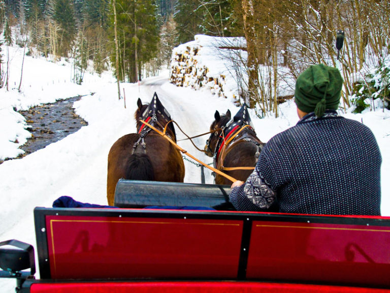 Sleigh rides near me