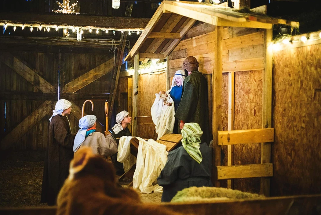 Critter Barn Live Nativity