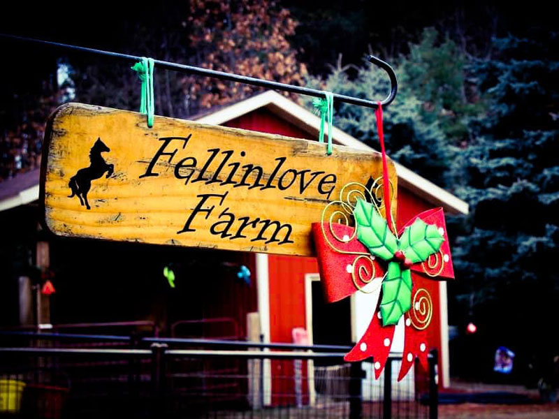 fellinlove farm